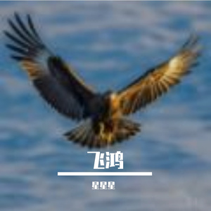 夏季的清凉-整曲