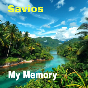 My Memory