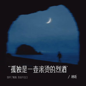 孤独是一壶滚烫的烈酒