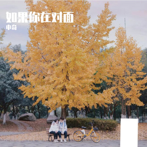 如果你在对面
