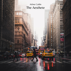 The Aesthete