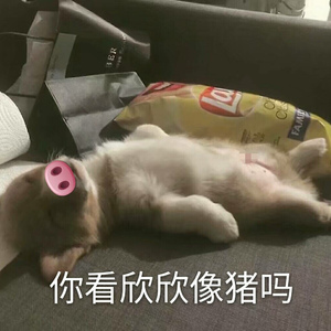 心愿便利贴（Cover 元若蓝 / 吴忠明）