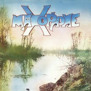 Al Mancato Compleanno Di una Faffalla