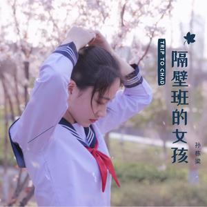 孙栋梁 - 隔壁班的女孩
