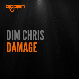 Damage (Original Mix)