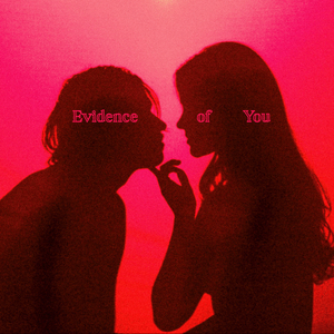 Evidence of You