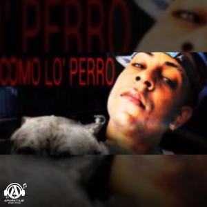 Como Lo Perro
