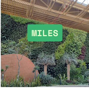 Miles