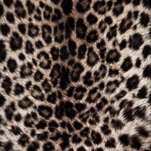 hotspot (feat. zahckc)