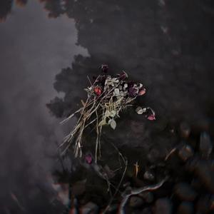 【FREE可商用】“宋岳庭的翅膀又多了一片羽毛” Trap type beat