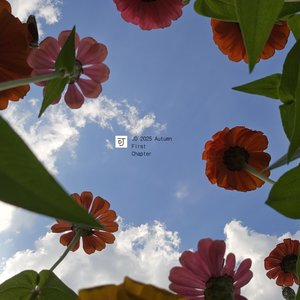 회색비 in the October Rain