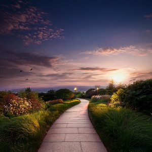 夕暮れの散歩道