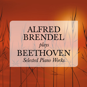 Concerto No. 1 in C Major for Piano and Orchestra, Op. 15: I. Allegro con brio