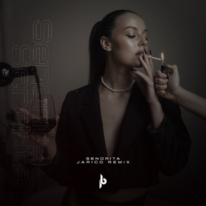 Senorita (Jarico Remix)