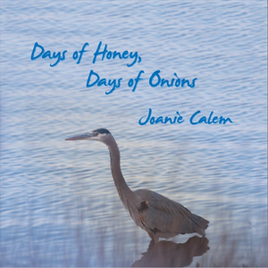 Days of Honey, Days of Onions