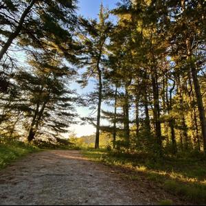 Falcons Call (Radio Edit)