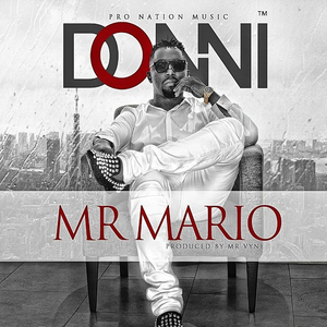 Mr. Mario