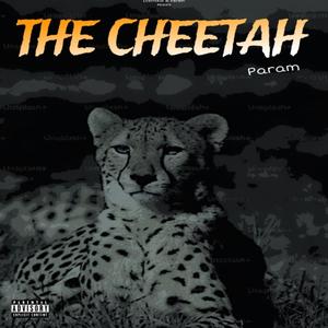 The Cheetah