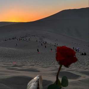 沙漠开不出繁花