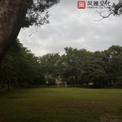 风筝飞过