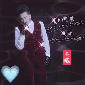 齐霖-爱的感觉是你