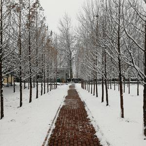 冰雪消融（Melting Snow）