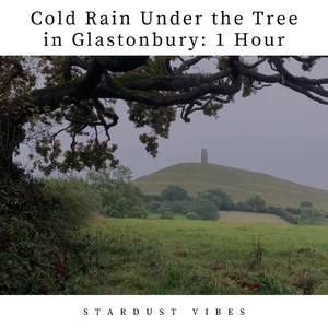Cold Rain Under the Tree in Glastonbury: One Hour