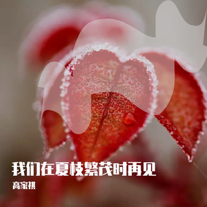 我们在夏枝繁茂时再见