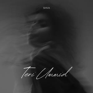 Teri Ummid