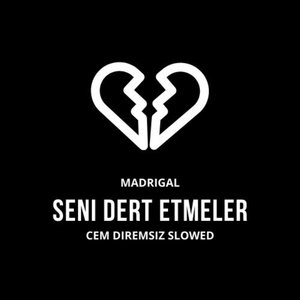 Seni Dert Etmeler (Slowed)