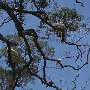 离开浪浪山之后