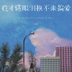 我才懂眼泪换不来偏爱