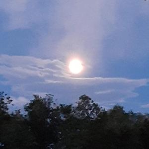 Glitches In The Matrix