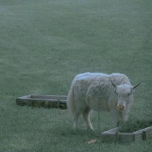 2022.03.23-17.27.40-下午_2022-03-23_182451