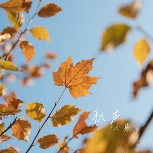 秋声