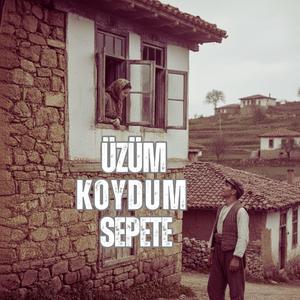 ÜZÜM KOYDUM SEPETE