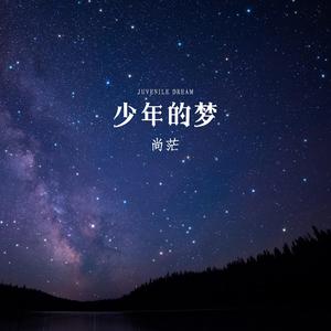 少年的梦