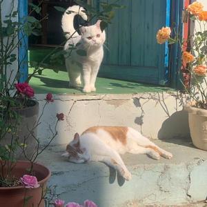 你一定能够成为你想要去成为的人（cover:姜云升）