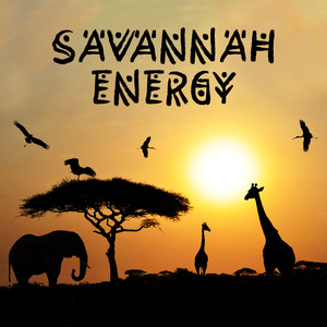 Savannah Vibes
