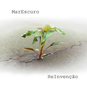 Quem Vive E Quem Pensa