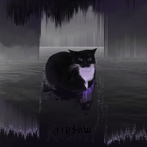 MAXWELL THE CAT THEME (DNB)