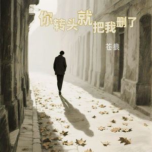 你转头就把我删了