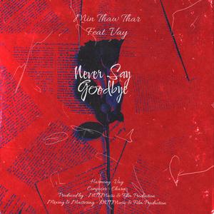 Never Say Goodbye (feat. Vay)