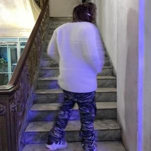 Nomo x Hundobans x Fizact