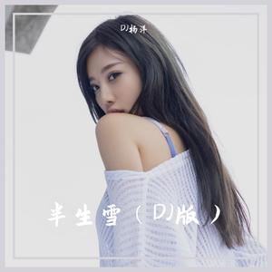 半生雪（DJ版）