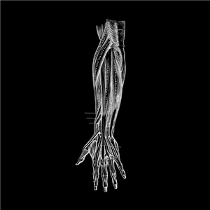 Womb (Aebeloe 'Glisten' Mix)