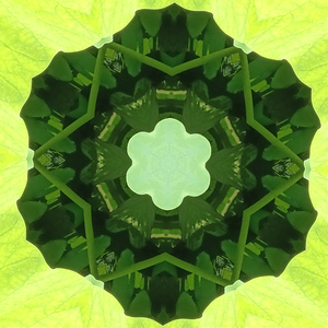 Celestial 222 Hz: Heart Chakra Balance