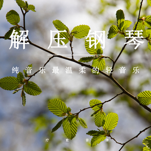 舒适音符小调 (舒缓纯音乐)