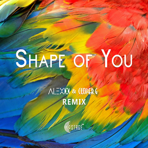 Ed Sheeran - Shape of You(Alex x & Cooper.G Remix)