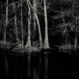 Little One and a Pup